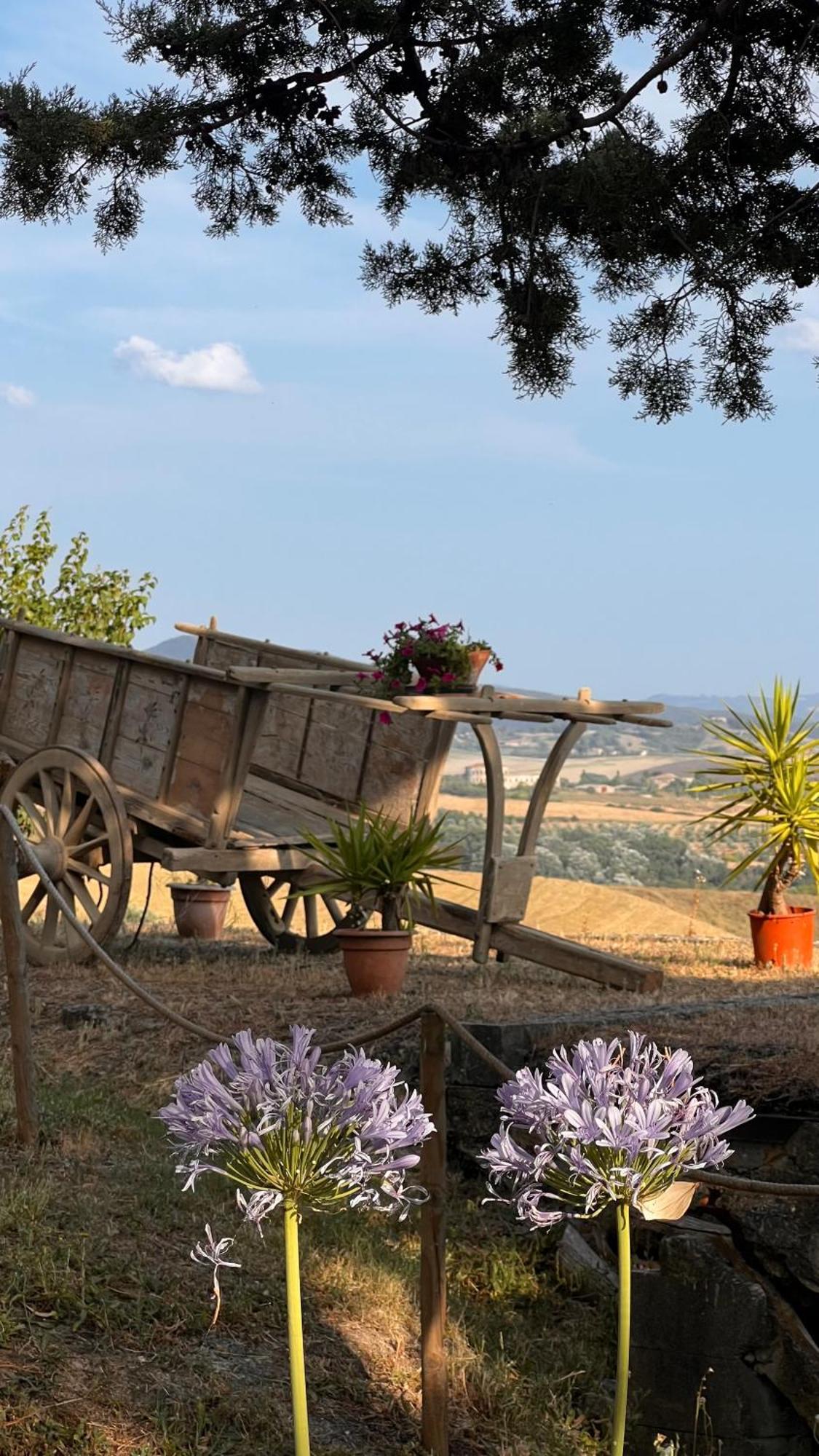 Agriturismo Casallario ヴォルテッラ エクステリア 写真